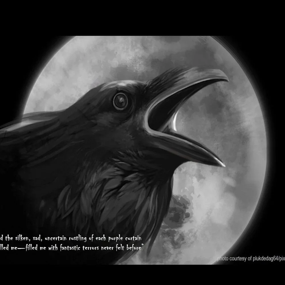 Raven Calendar 2027 Ravens Planner with The Raven by Edgar Allan Poe Poetry